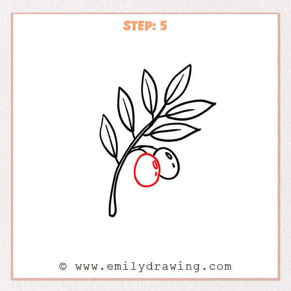 how to draw an olive branch - Step 5
